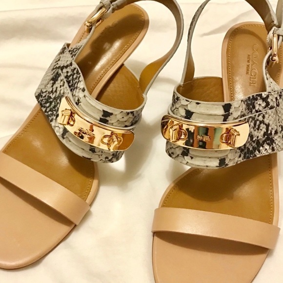 Authentic Coach Heels - Picture 1 of 6